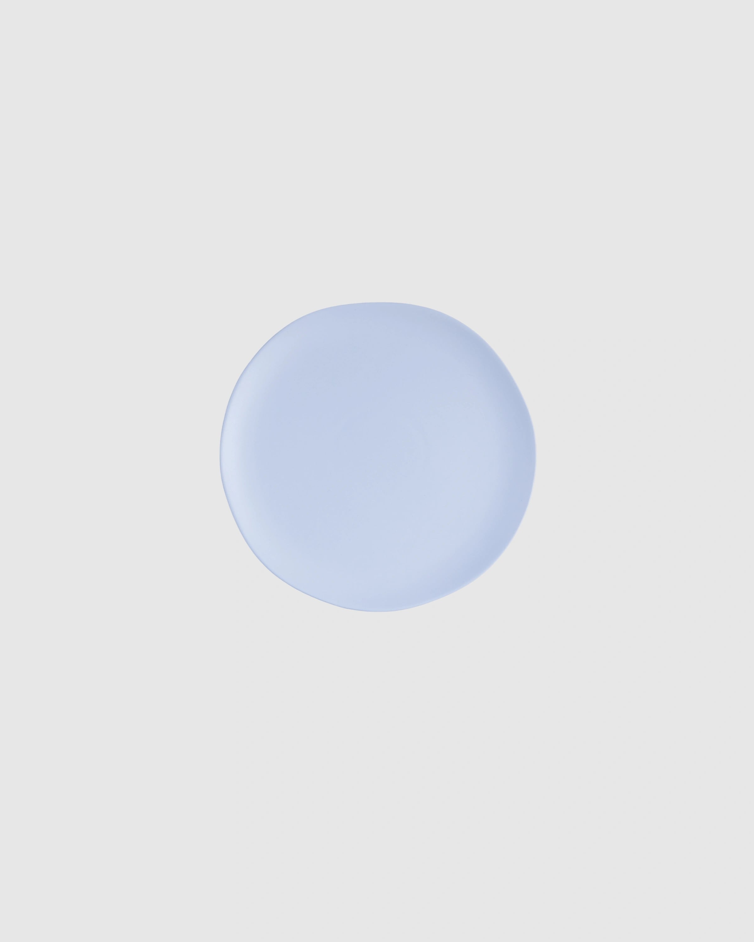 Powder Matt Dinner Plate